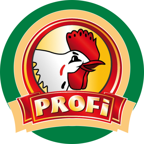 profi_logo